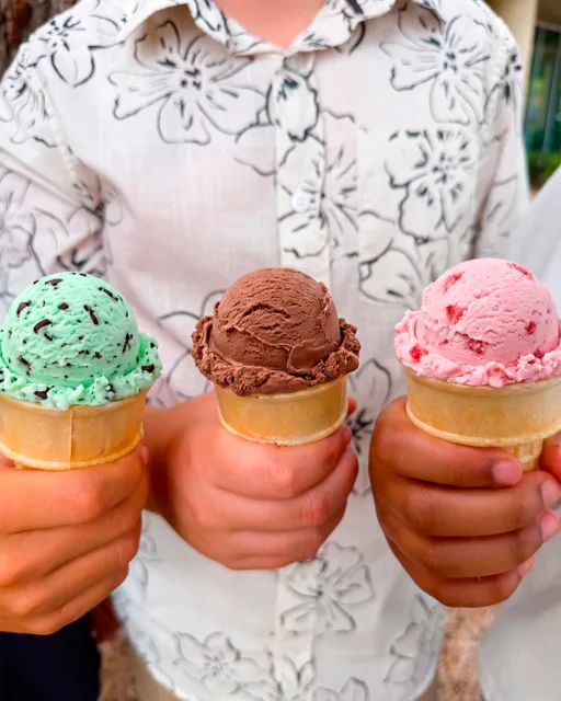 Whether homemade, rolled, soft served or scooped, it's no debate - we ALL scream for ice cream! 🍦 The BIG debate on National Ice Cream Day is - what flavor do you choose? Sound off below!👇

#NationalIceCreamDay #IceCream #ChefAdvantage